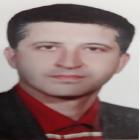 Dr Hamids Reza Horshidi